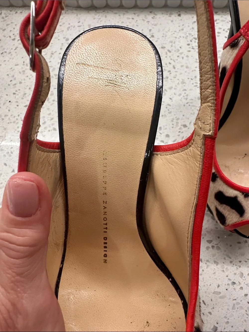 Giuseppe Zanotti these are